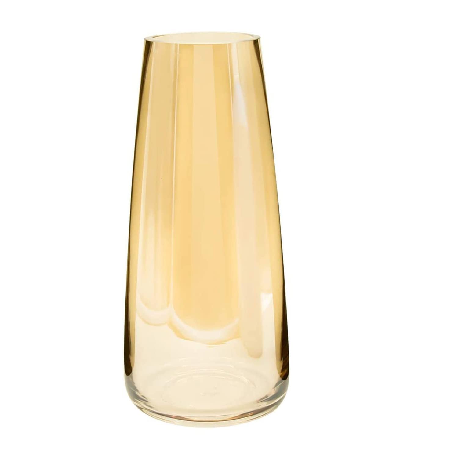 Perfect for Flowers Stylish Glass Vase Home & Office Decor (Gold, 22.8 cm x 6.3 cm x 7.6 cm)
